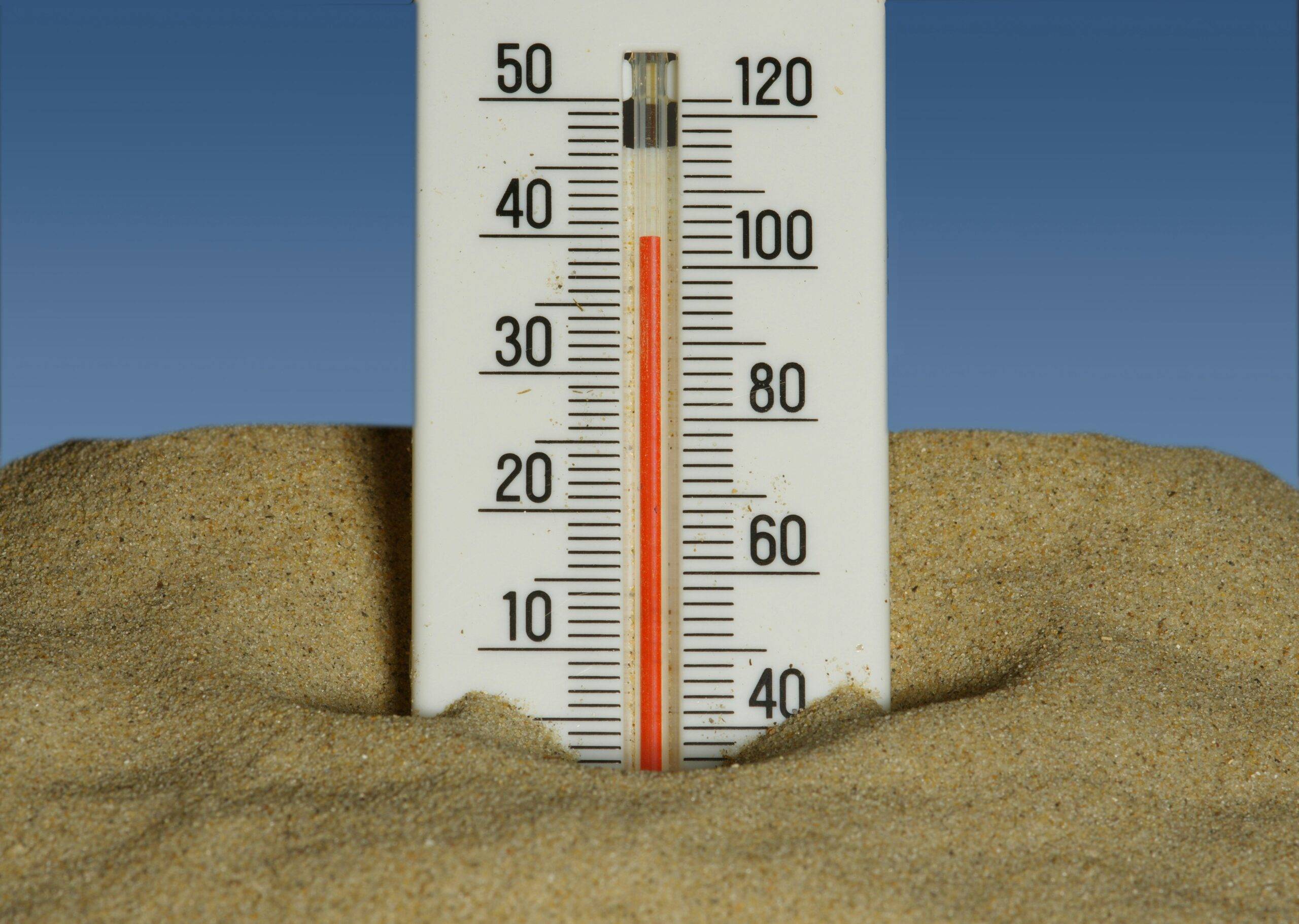 Cold Storage vs Hot Storage: Which Is Best for Your Data Archiving Needs?