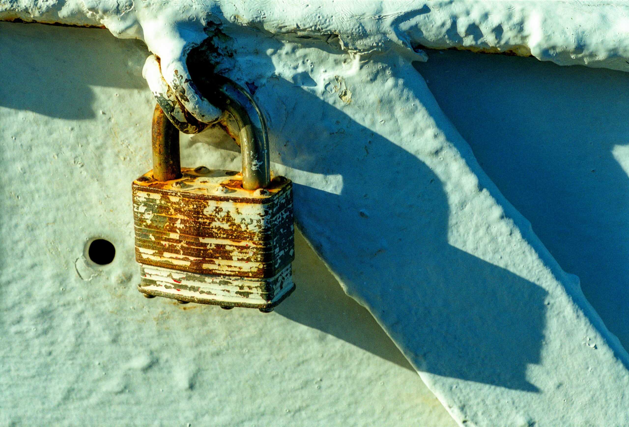 Details of California. // shot on 35mm film, Canon A2E, scanned on Nikon CoolScan 4000.